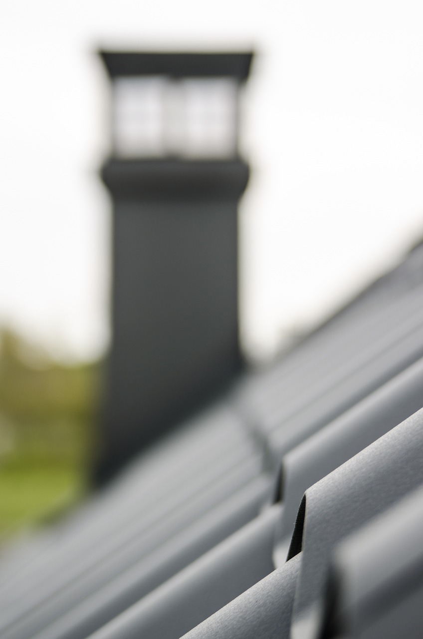 the roof of the, tile, plate, chimney